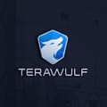 TeraWulf